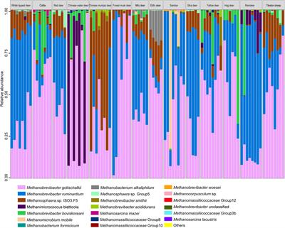 Comparative Microbiome Analysis Reveals the Ecological Relationships Between Rumen Methanogens, Acetogens, and Their Hosts